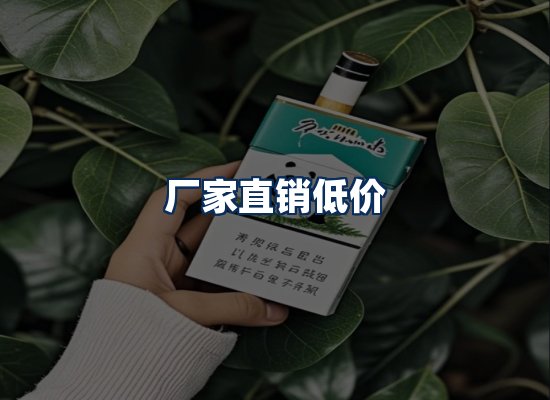 专业团队办公环境